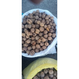 گردوی پوست کاغذی اعلای تویسرکان (تضمین کیفیت)