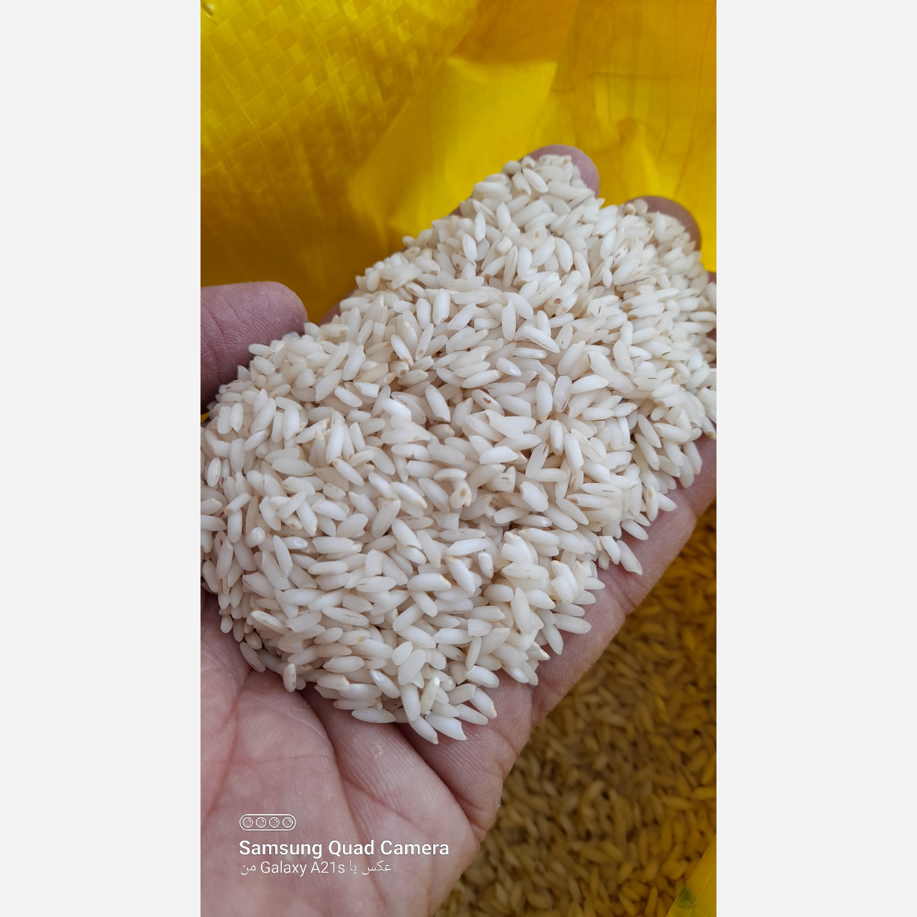 برنج عنبربو زندیه (ارسال رایگان 2 کیسه ب بالا)