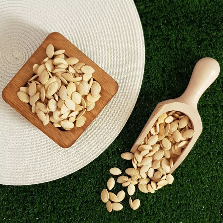 تخمه کدو گوشتی اعلا درجه یک 500گرمی تازه
