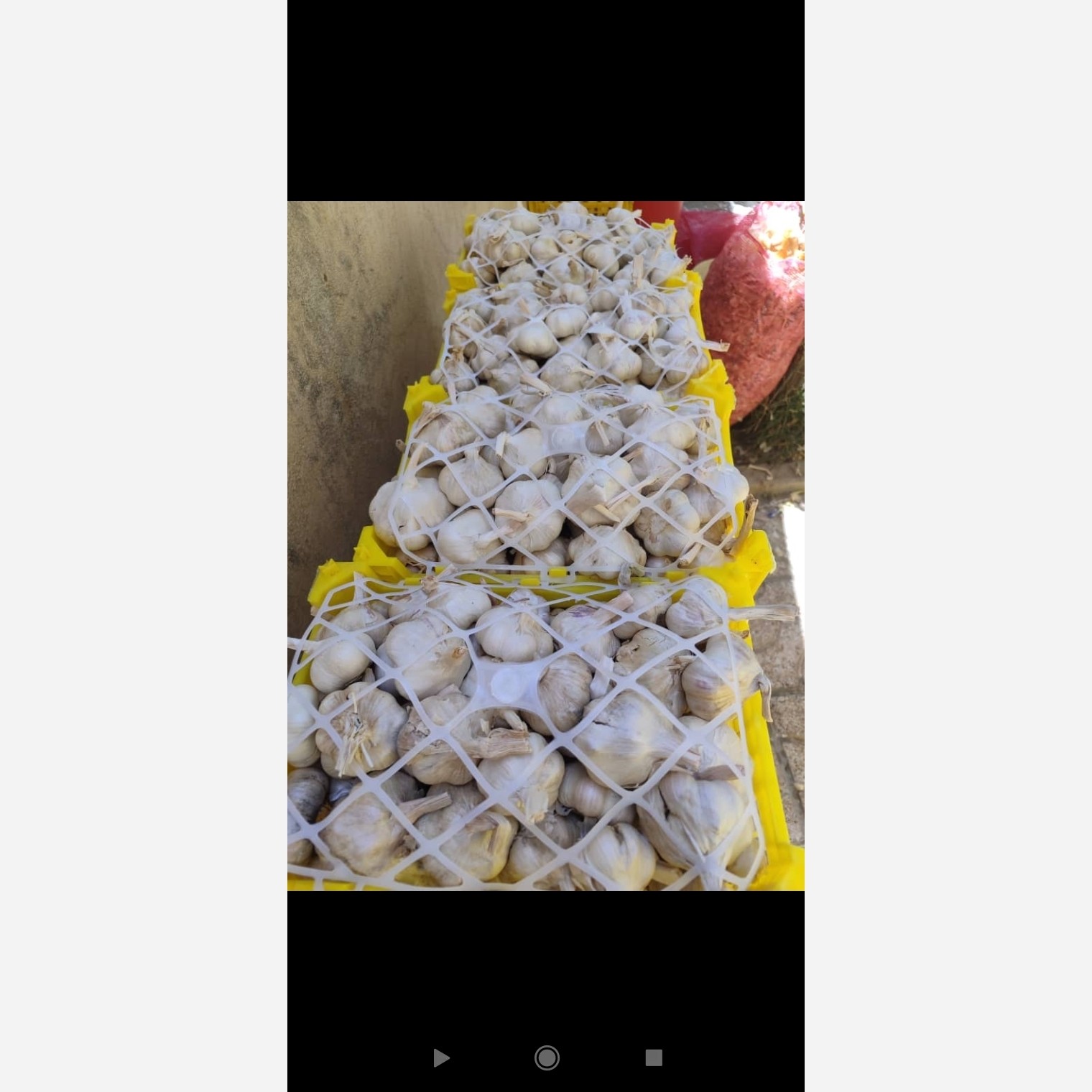سیر همدان تازه ومرغوب درجه یک 2کیلوگرم
