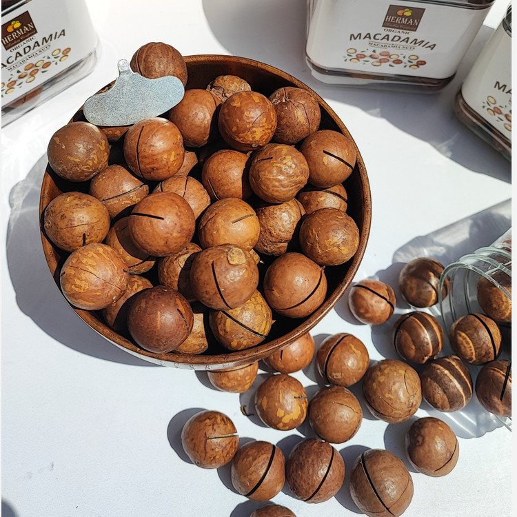 فندق استرالیایی ماکادمیا 6 کیلویی (12 بسته 500 گرمی) بسته پلمپ تولید امسال