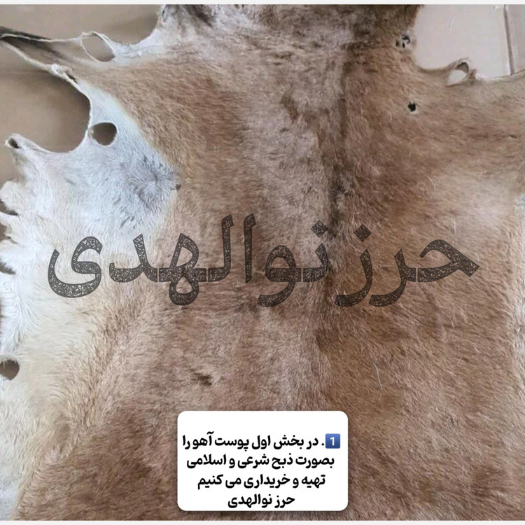حرز امام جواد روی پوست آهو+گردنبند چرمی اصلی+هدیه تربت امام حسین