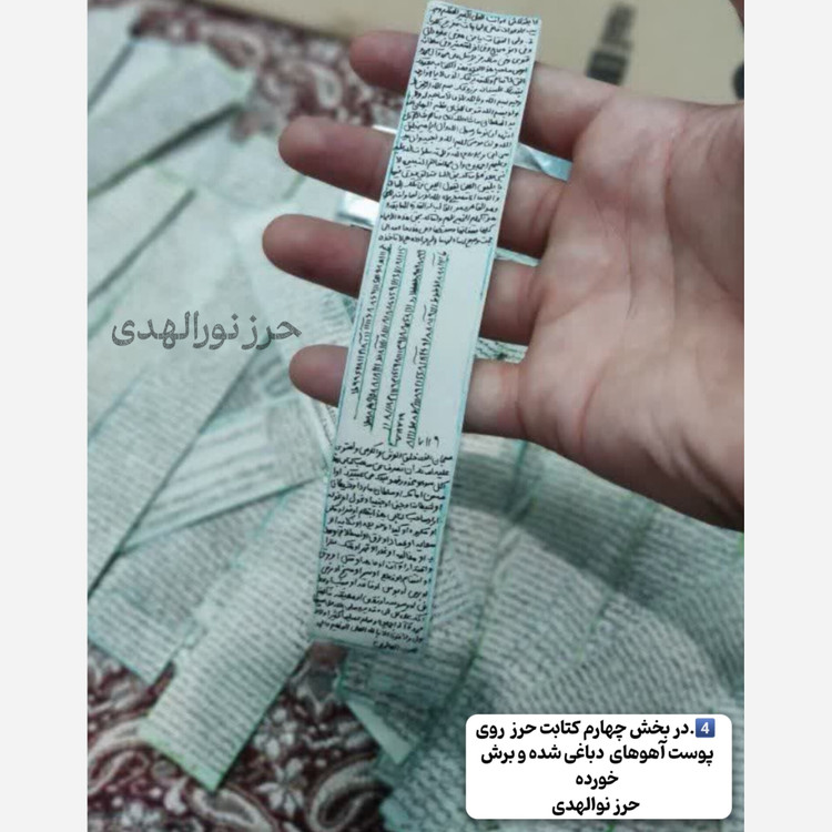 حرز امام جواد روی پوست آهو+گردنبند چرمی اصلی+هدیه تربت امام حسین