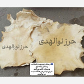 حرز امام جواد روی پوست آهو+گردنبند چرمی اصلی+هدیه تربت امام حسین