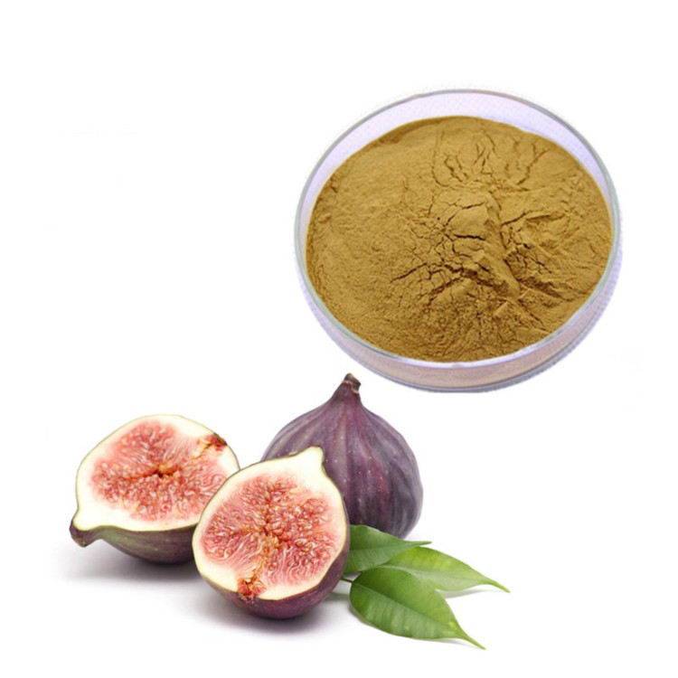 پودر انجیر(خشک اعلا)خالص 100گرمی نورا
