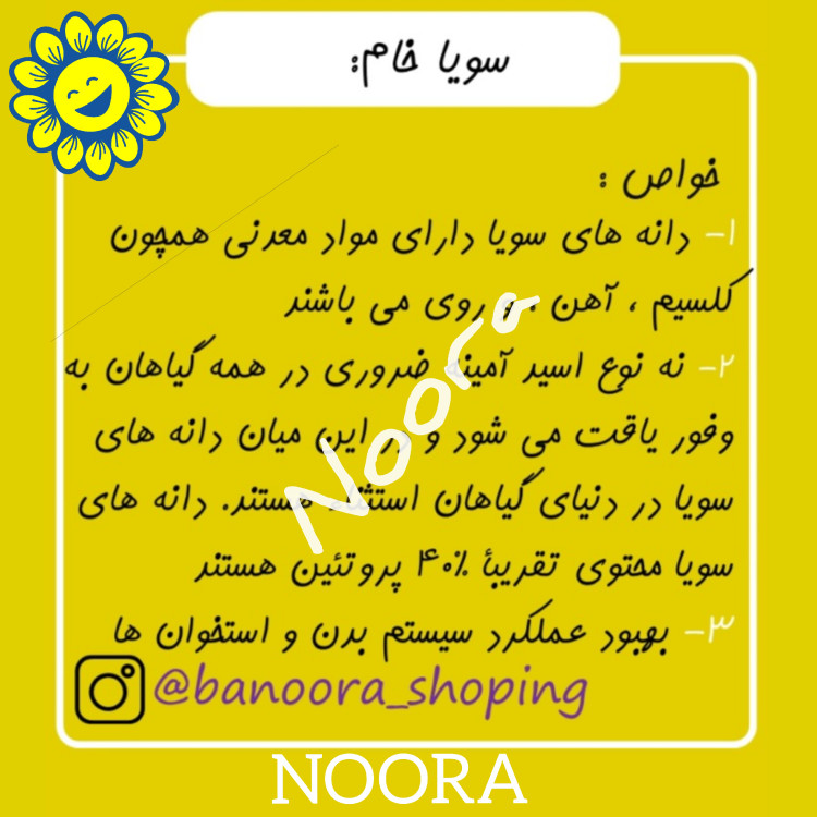 لوبیا سویا خام( دانه سویا خام ) سویاخام 1 کیلویی نورا