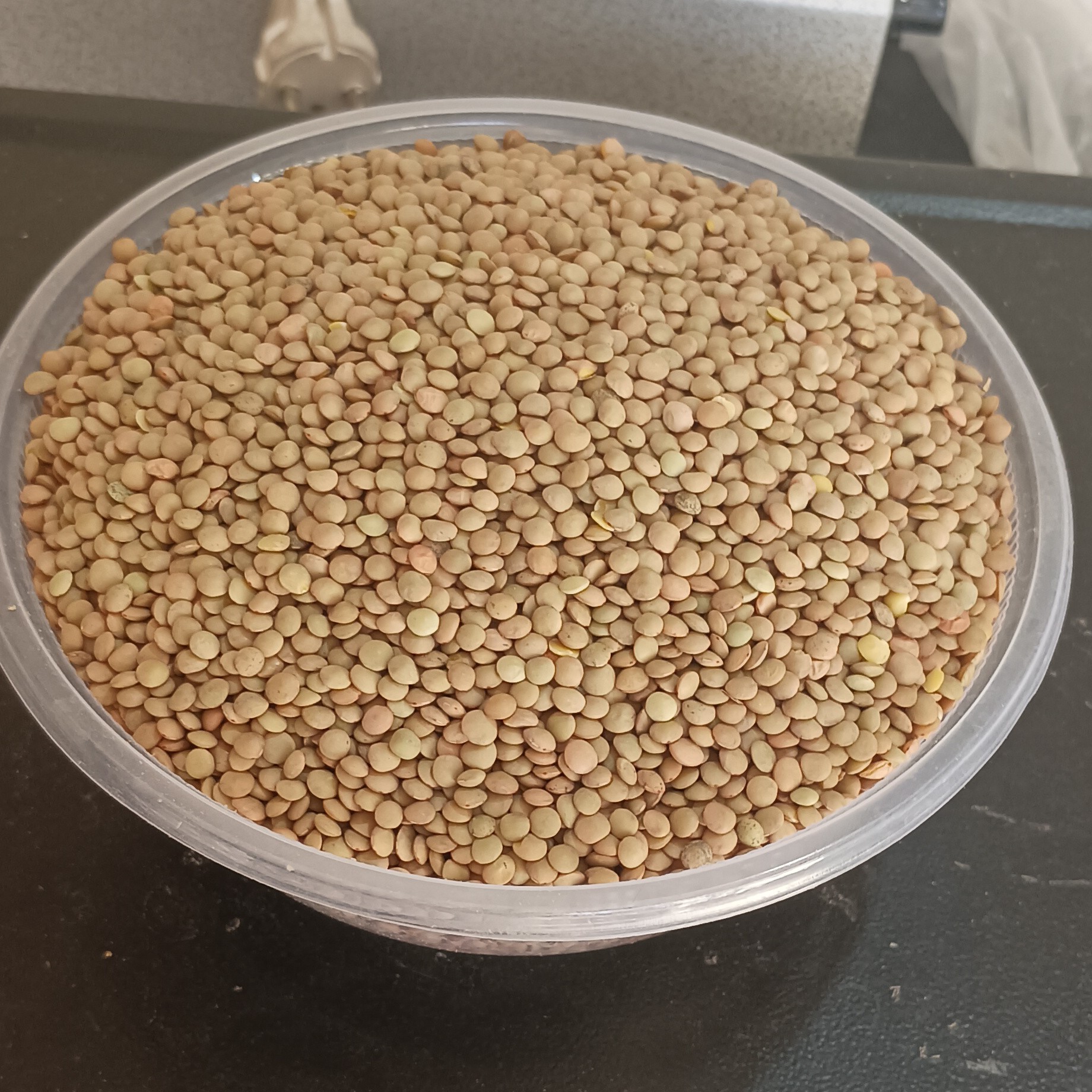 عدس ریز کانادا جنس درجه یک سوتینگ شده وبسیارمرغوب
