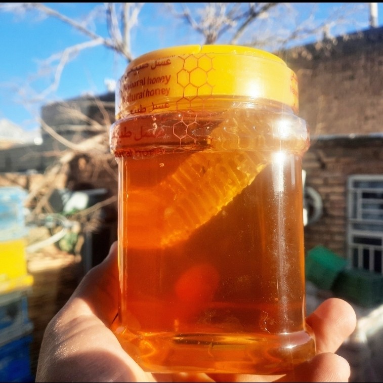 عسل بهاره فریدن 1کیلویی دشتی اصل(ارسال رایگان با خرید 2م از غرفه)