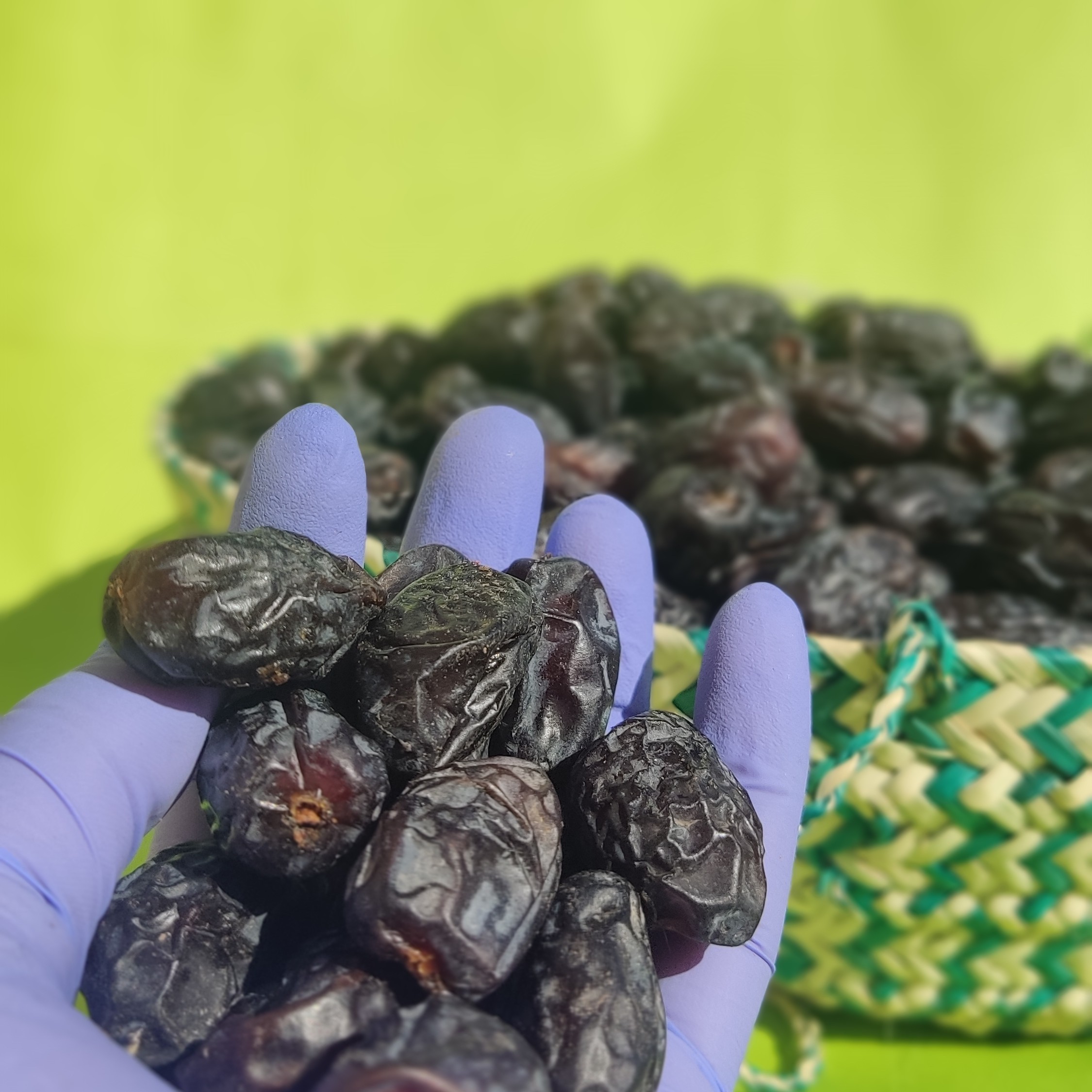 خرما خنیزی سوپر 1 کیلویی برداشت 405