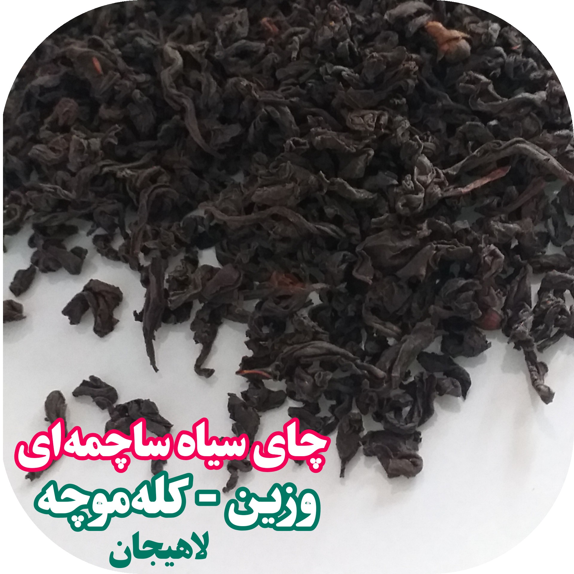 چای سیاه لاهیجان چای وزین یا چای ساچمه ای 500 گرمی ارسال رایگان با سبد خرید بالای