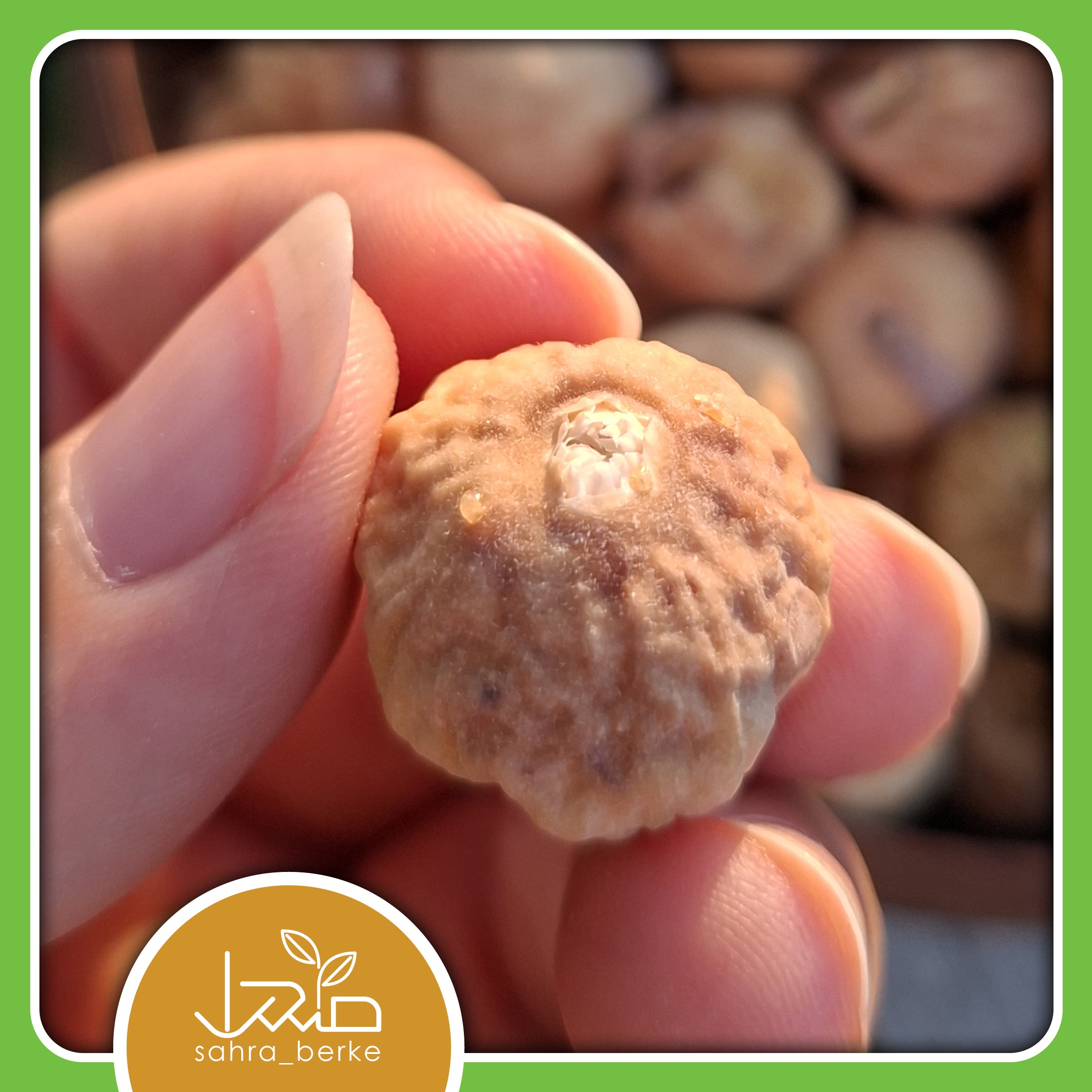 انجیر خشک درجه A ریز و نرم (250 گرمی)