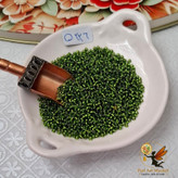 منجوق fgb سایز 11 (کد 221-227 و 401-413) - 20 رنگ