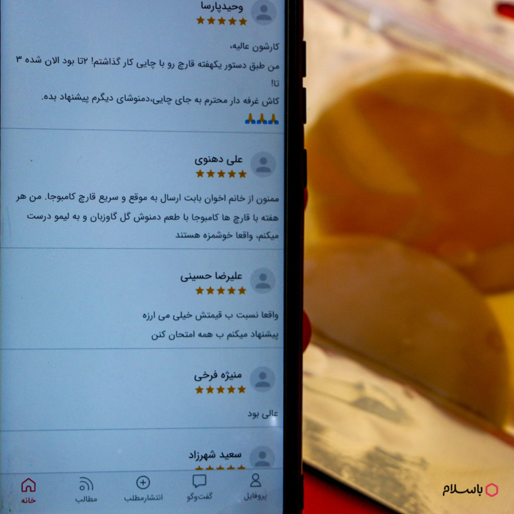 قارچ کامبوجا تازه و فعال پنجاه گرمی به همراه 280 میلی لیتر شربت کامبوجا و آموزش رایگان