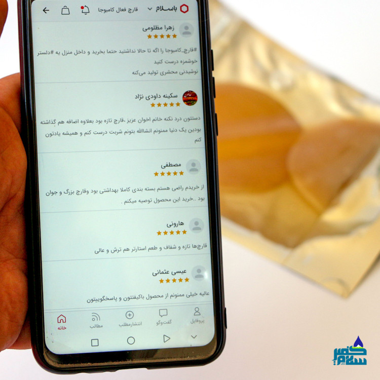 قارچ کامبوجا تازه و فعال پنجاه گرمی به همراه 280 میلی لیتر شربت کامبوجا و آموزش رایگان