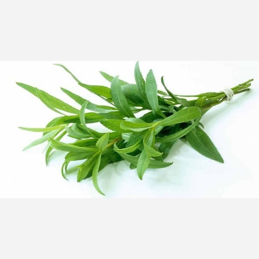 پک بذر سبزیجات(12 نمونه سبزی پرمصرف)