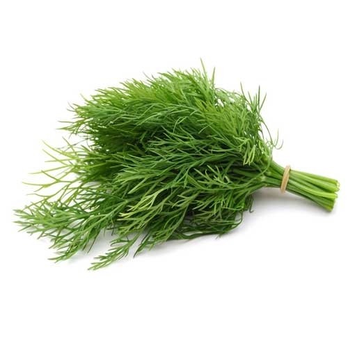 پک بذر سبزیجات(12 نمونه سبزی پرمصرف)