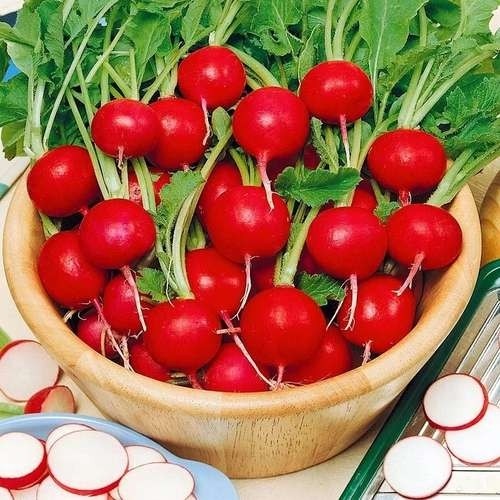 پک بذر سبزیجات(12 نمونه سبزی پرمصرف)