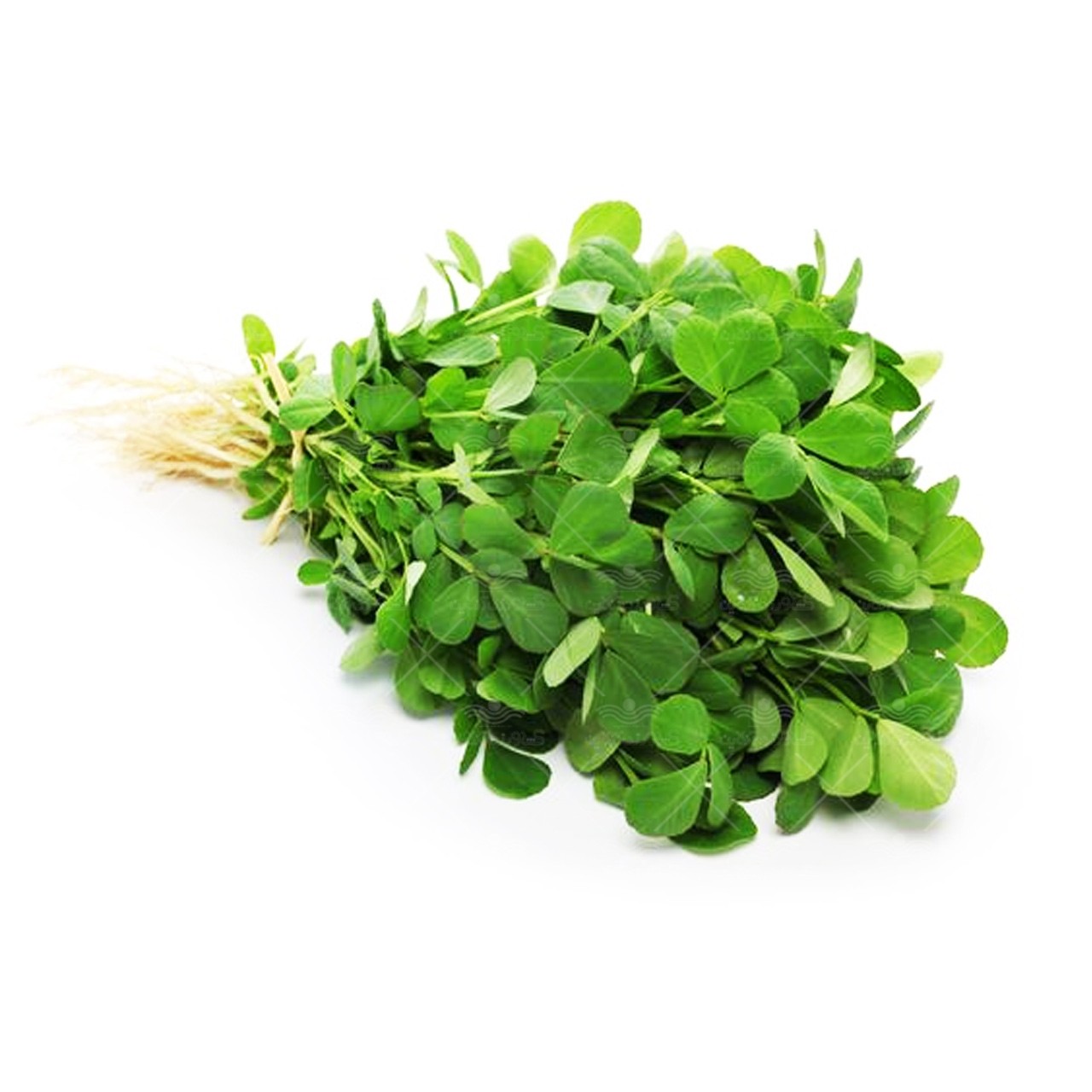 پک بذر سبزیجات(12 نمونه سبزی پرمصرف)