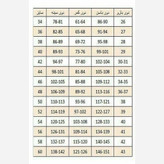 دامن مجلسی راسته آستردار چاکدار
