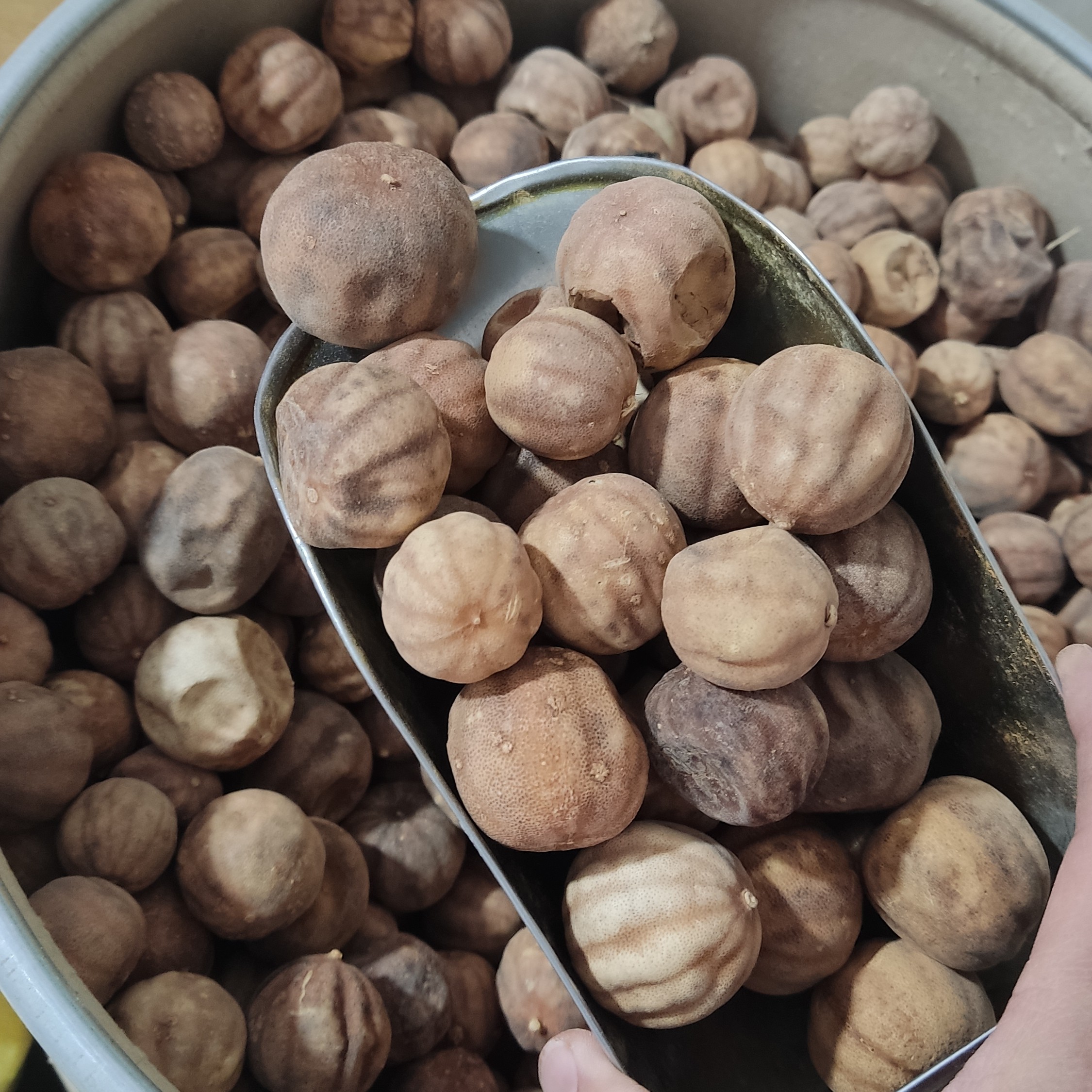 لیمو خشک عمانی نسبتا درشت 250 گرمی