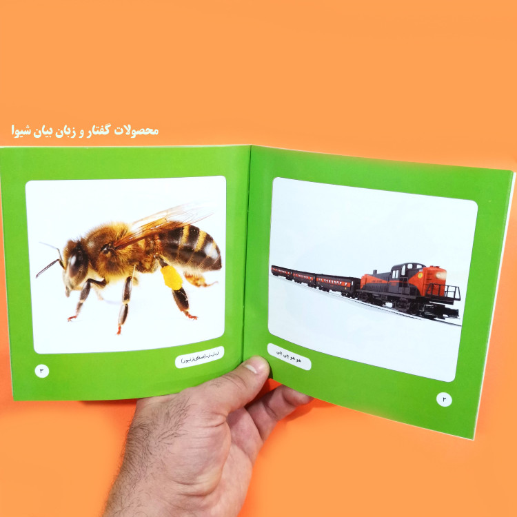 مجموعه کتاب (اولین واژگان تصویری کودک من) مصور رنگی 5 جلدی