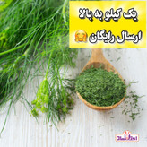 شوید خشک سبز اعلا یک کیلویی اعتماد تازه(سبزی شوید)