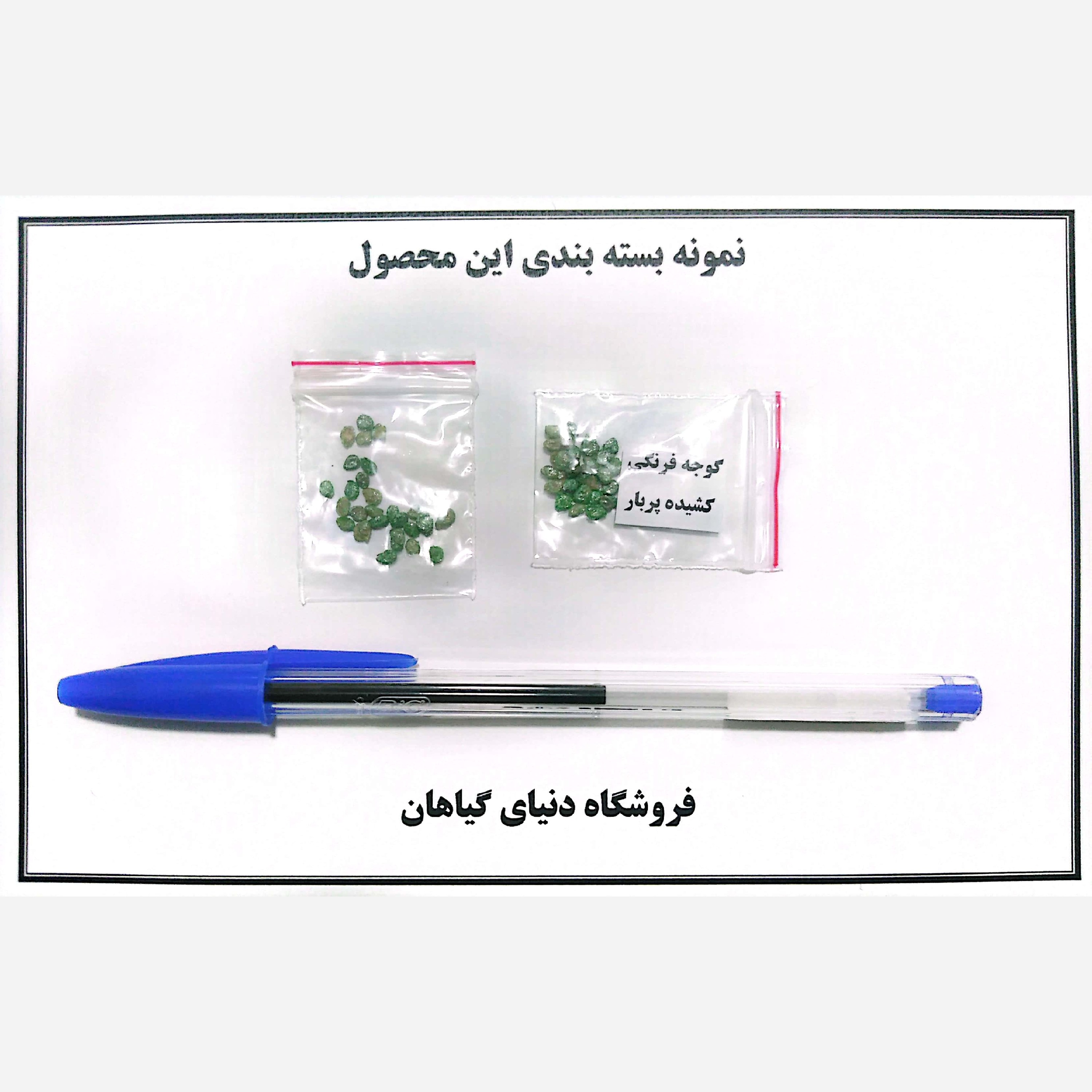 بذر گوجه فرنگی(کد1)کشیده پُربار(10 عددی)