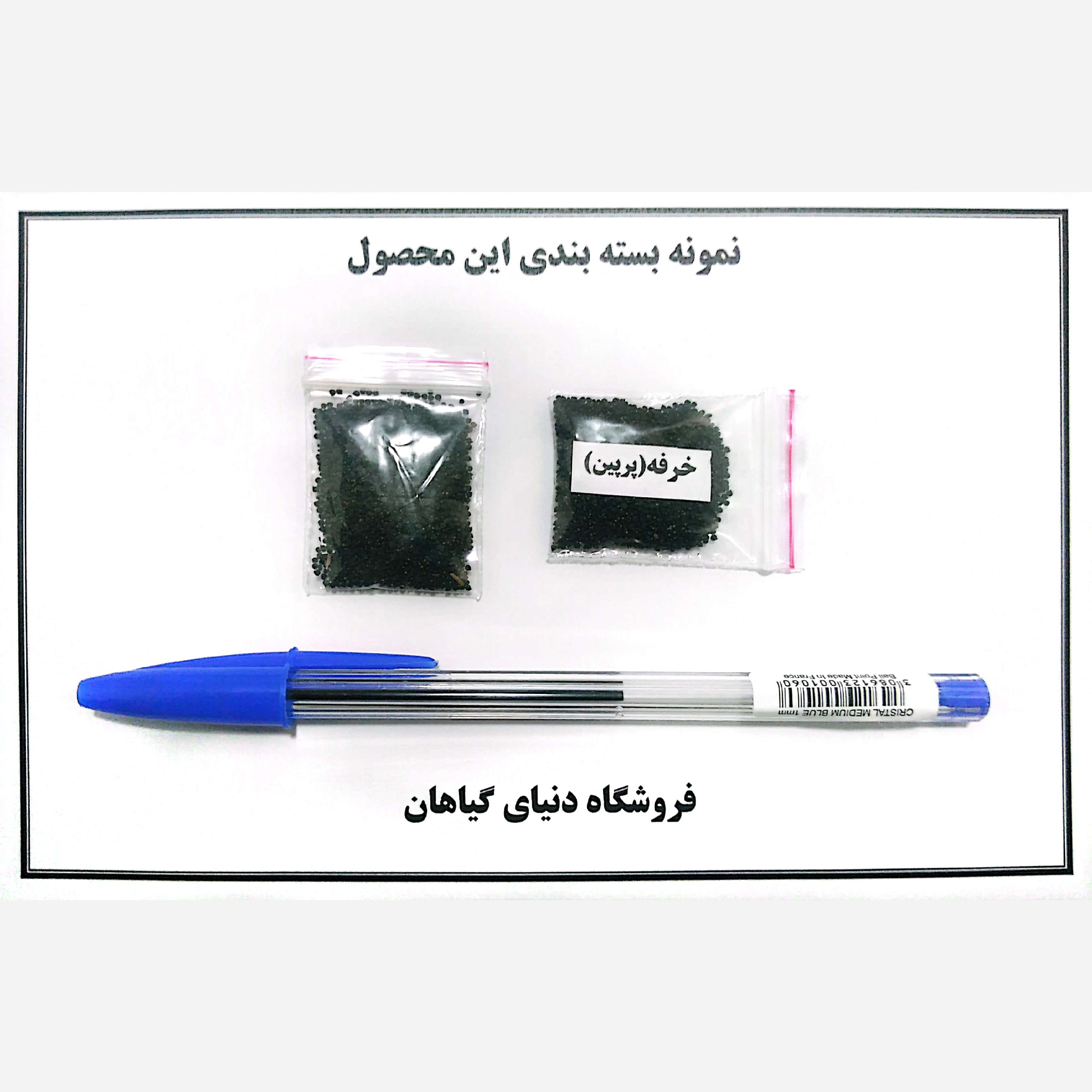 بذر خرفه(پرپین) (1000 عدد)