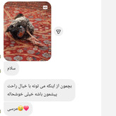 پوشک ضدآب برای مرغ خروس اردک غاز و جوجه در سایزبندی