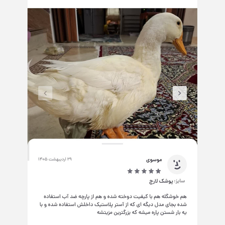 پوشک ضدآب برای مرغ خروس اردک غاز و جوجه در سایزبندی