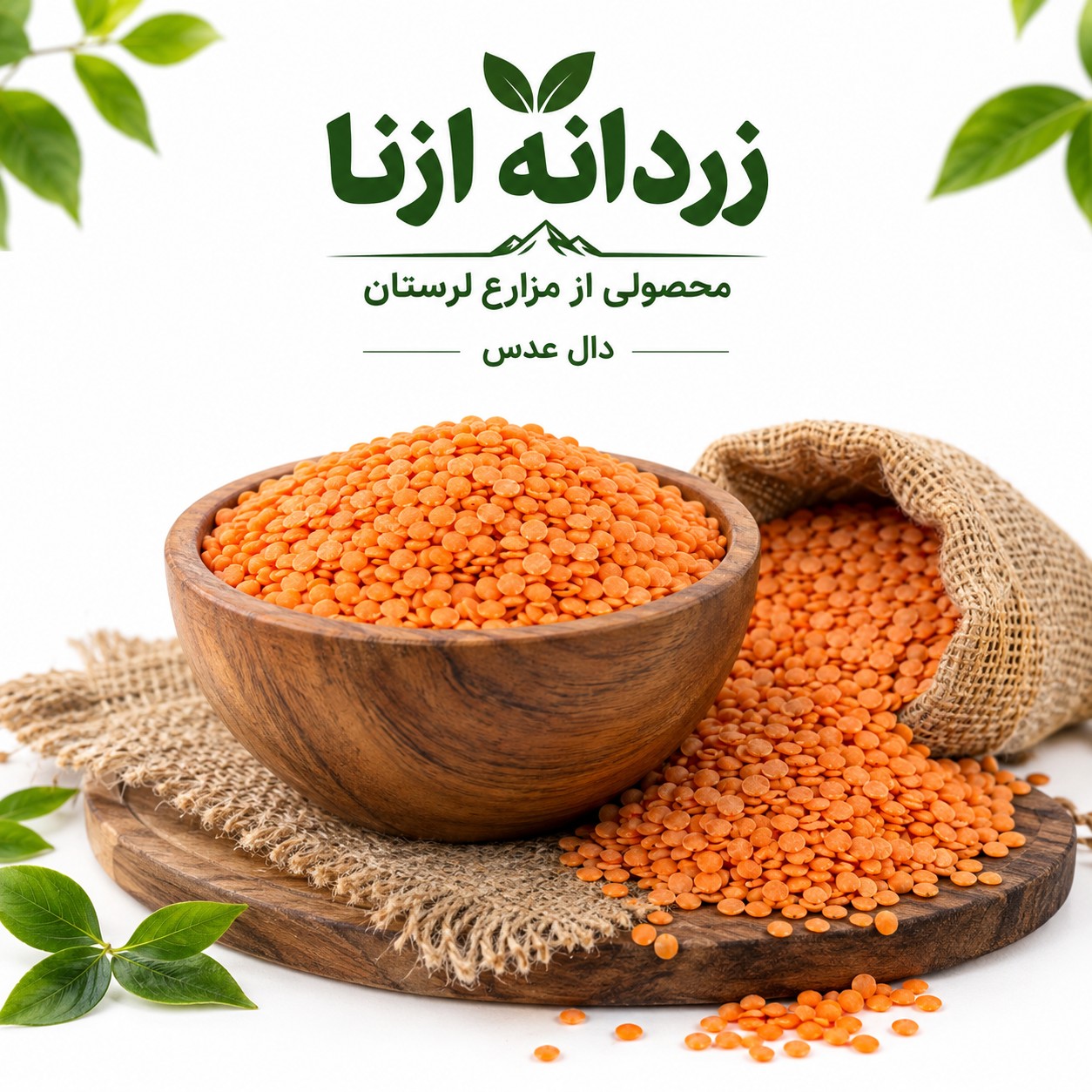دال عدس دستچین یک کیلوگرمی