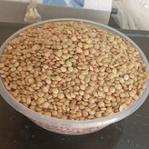 عدس درشت درجه یک کانادا بسیار مرغوب وسورتینگ شده.