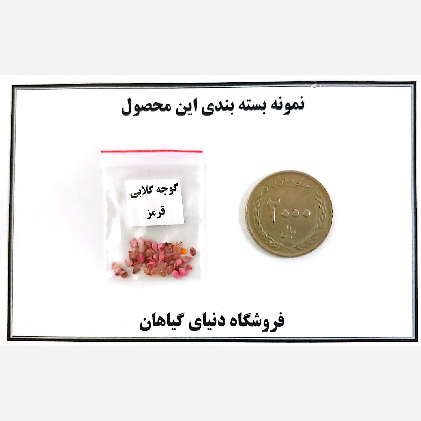 بذر گوجه گلابی(کد11) قرمز (10 عددی)