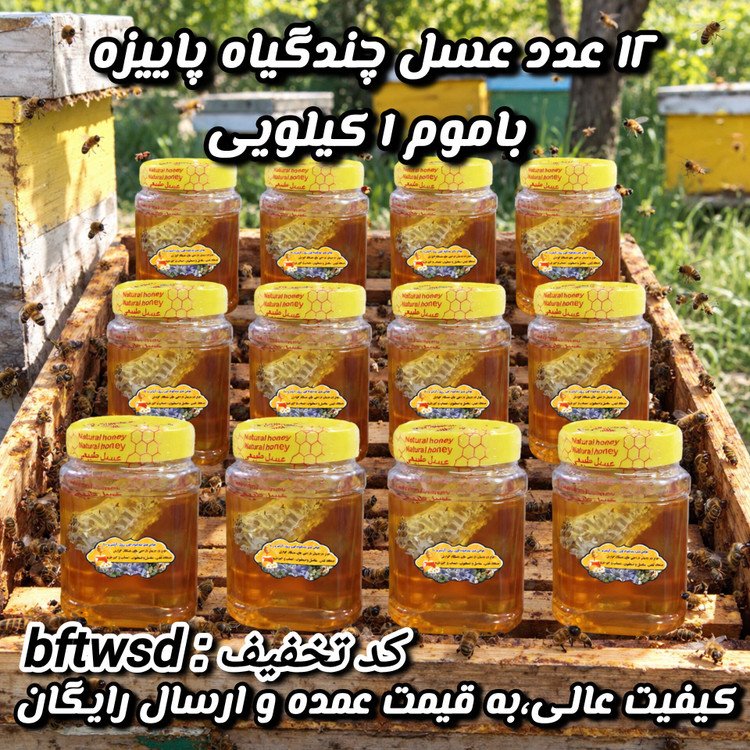 عسل چندگیاه پاییزه فریدن.دشتی 12 عدد 1 کیلو باموم(2شل6عددی) به قیمت عمده(خرید مستقیم از زنبوردار)ارسال رایگان