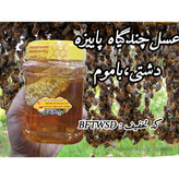 عسل چندگیاه پاییزه فریدن.دشتی 12 عدد 1 کیلو باموم(2شل6عددی) به قیمت عمده(خرید مستقیم از زنبوردار)ارسال رایگان