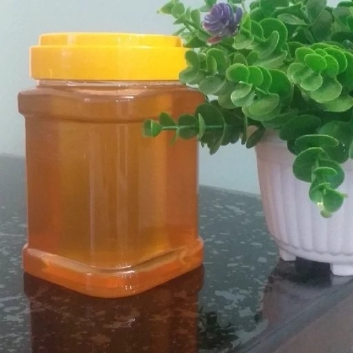 عسل چندگیاه پاییزه فریدن.دشتی 12 عدد 1 کیلو باموم(2شل6عددی) به قیمت عمده(خرید مستقیم از زنبوردار)ارسال رایگان