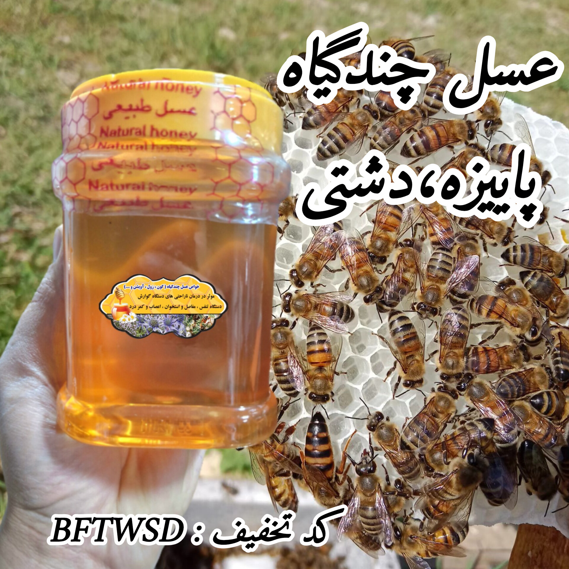 عسل چندگیاه پاییزه فریدن.دشتی 12 عدد 1 کیلو باموم(2شل6عددی) به قیمت عمده(خرید مستقیم از زنبوردار)ارسال رایگان