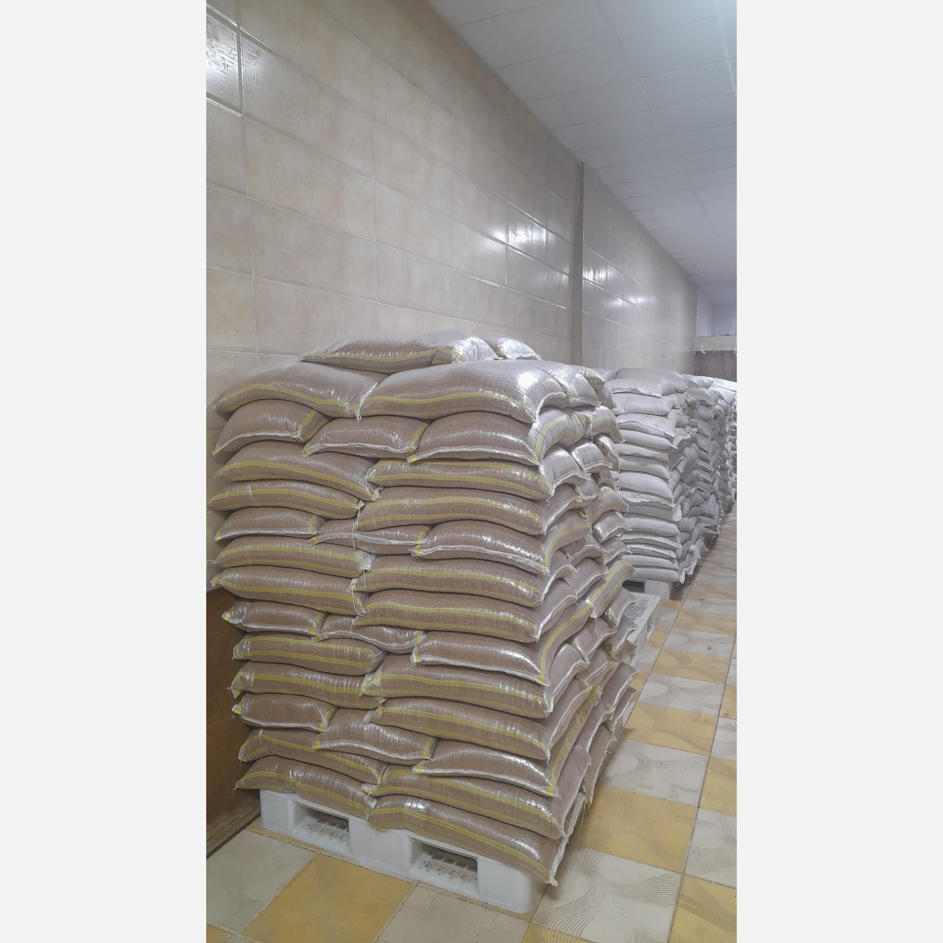 باکویت(گرچکا و یا گندم سیاه) 1000گرمی روسیه