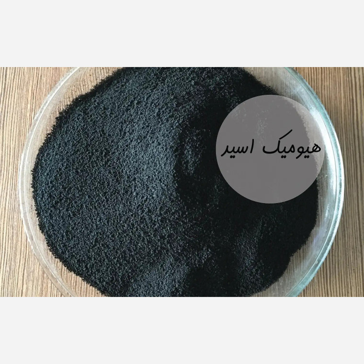 کود هیومیک اسید پودری برند Humic DG وزن 1 کیلوگرم