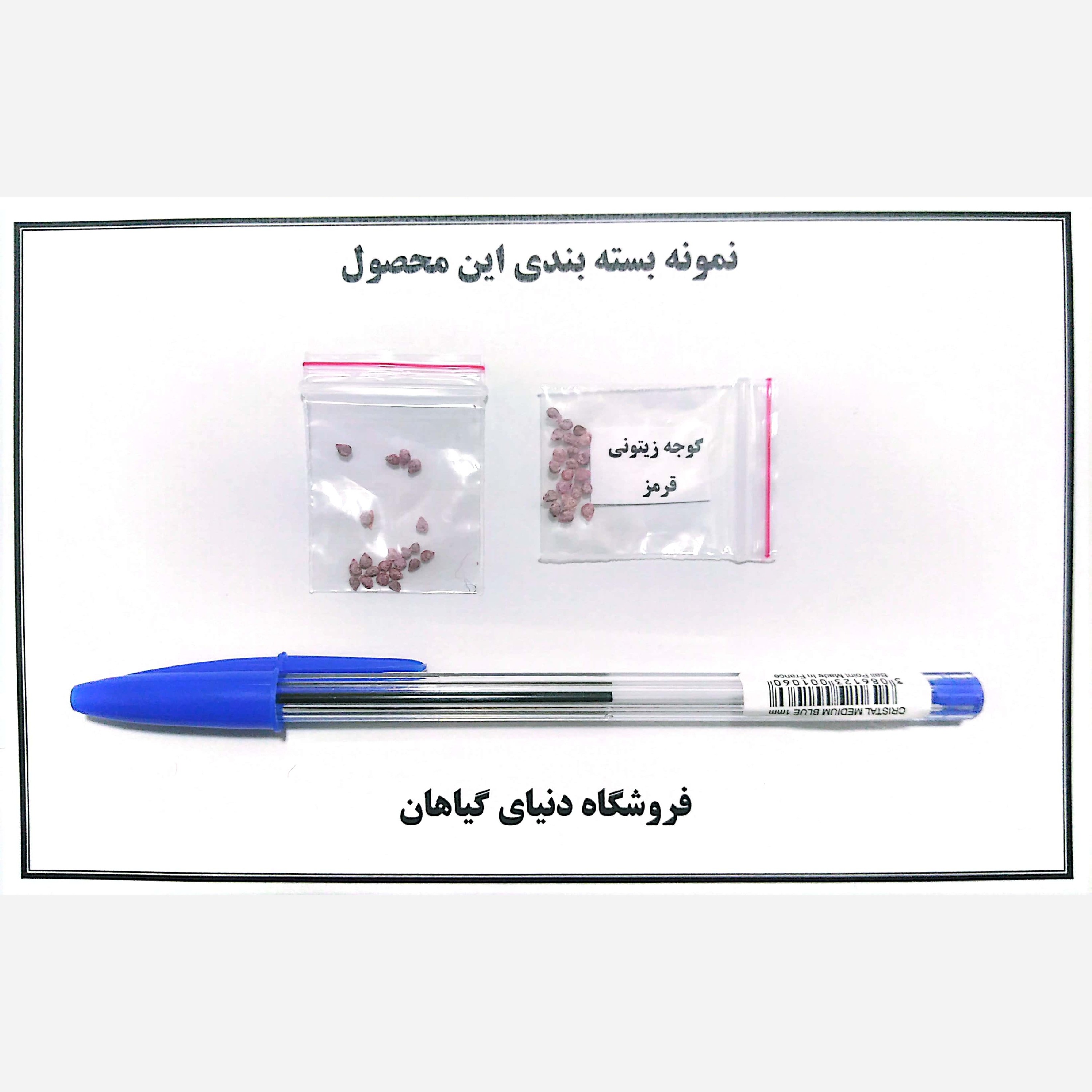 بذر گوجه زیتونی(کد9)قرمز(10 عددی)