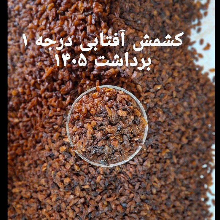 کشمش آفتابی آبگیری کاشمر درجه 1 (برداشت 1405)