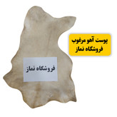 حرز امام جواد علیه السلام اصلی روی پوست آهو همراه با لوله نقره و گردن آویز طرح دار (اسامی اهل بیت)