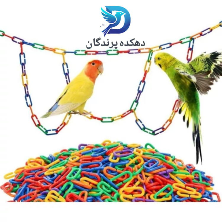 اسباب بازی طوطی عروس هلندی،طوطی برزیلی،گرینچیک،مرغ عشق،فنچ و...