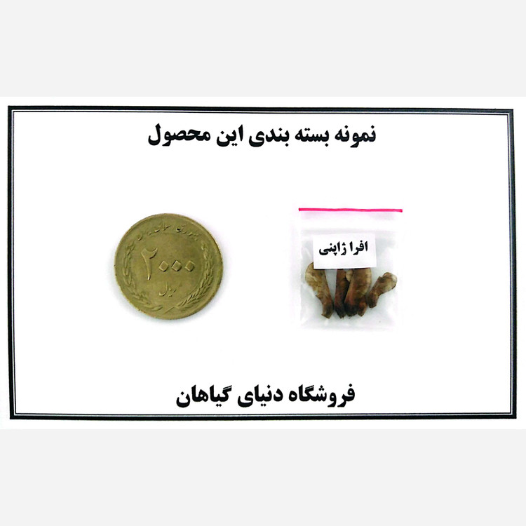 بذر افرا ژاپنی قرمز (5 عدد)