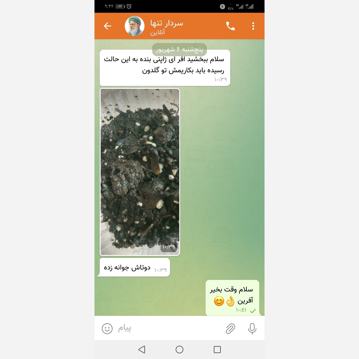 بذر افرا ژاپنی قرمز (5 عدد)