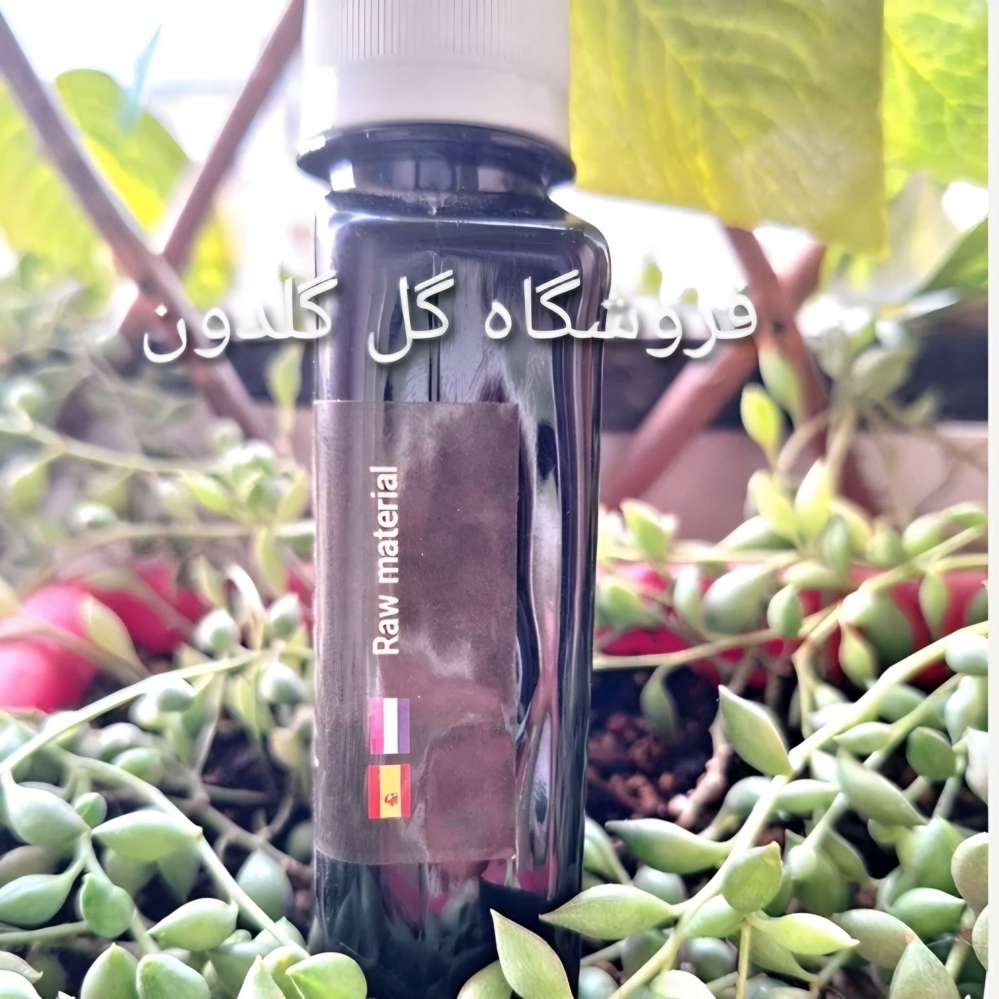 کود جلبک دریایی پودری و مایع. 100 سی سی. اصل