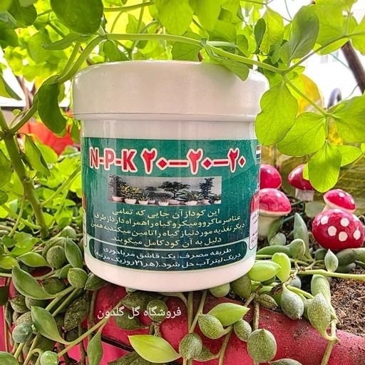 کود انپیکا 202020 .سه بیست پودری درجه یک. مگنولیا
