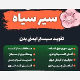 سیر سیاه پاستیلی وشیرین محصول روستا سولان