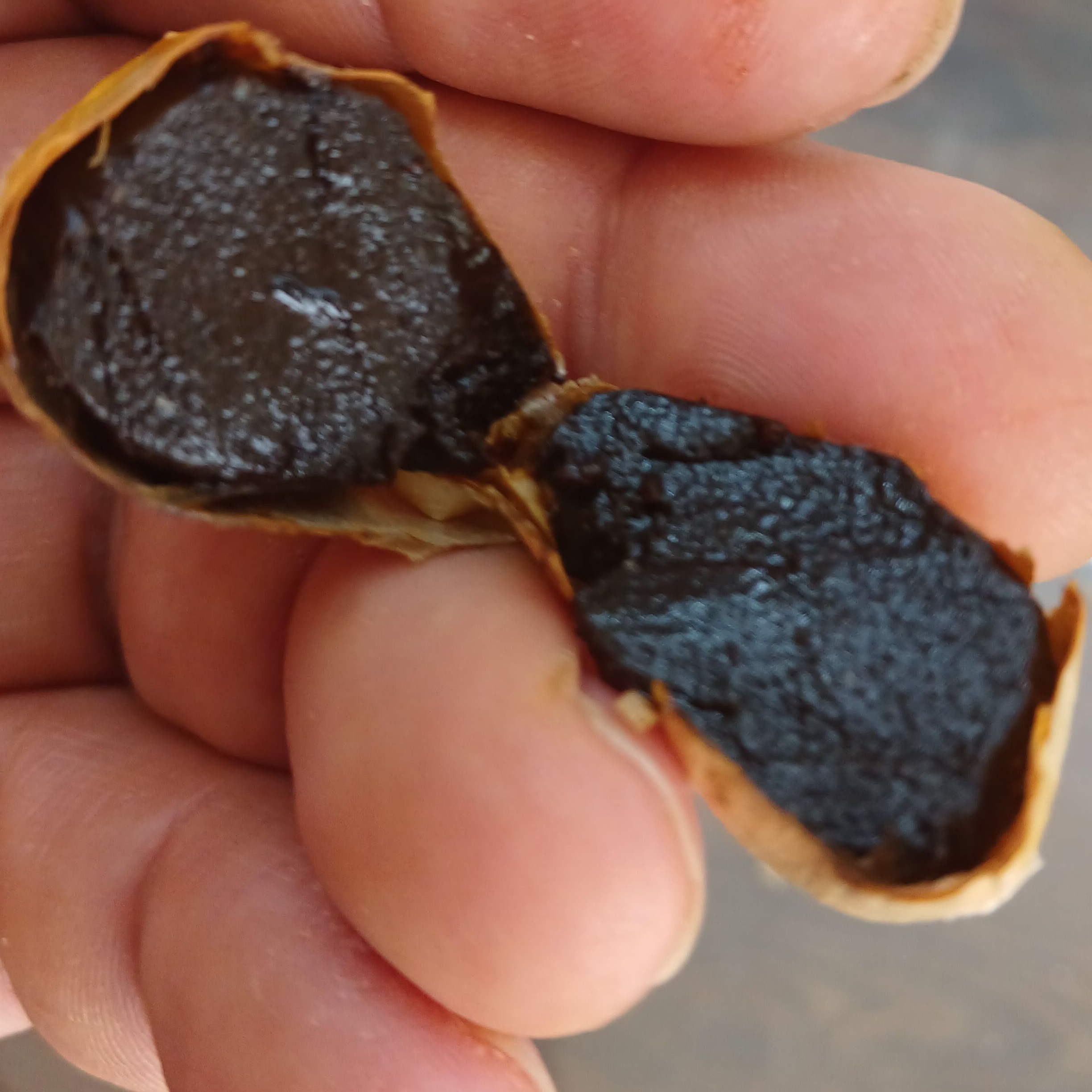 سیر سیاه پاستیلی وشیرین محصول روستا سولان