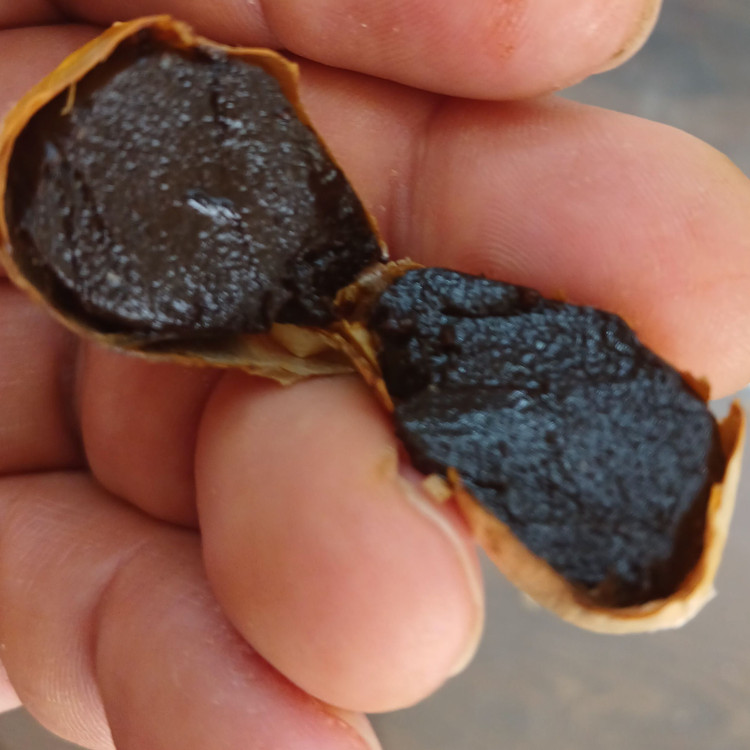سیر سیاه پاستیلی وشیرین محصول روستا سولان